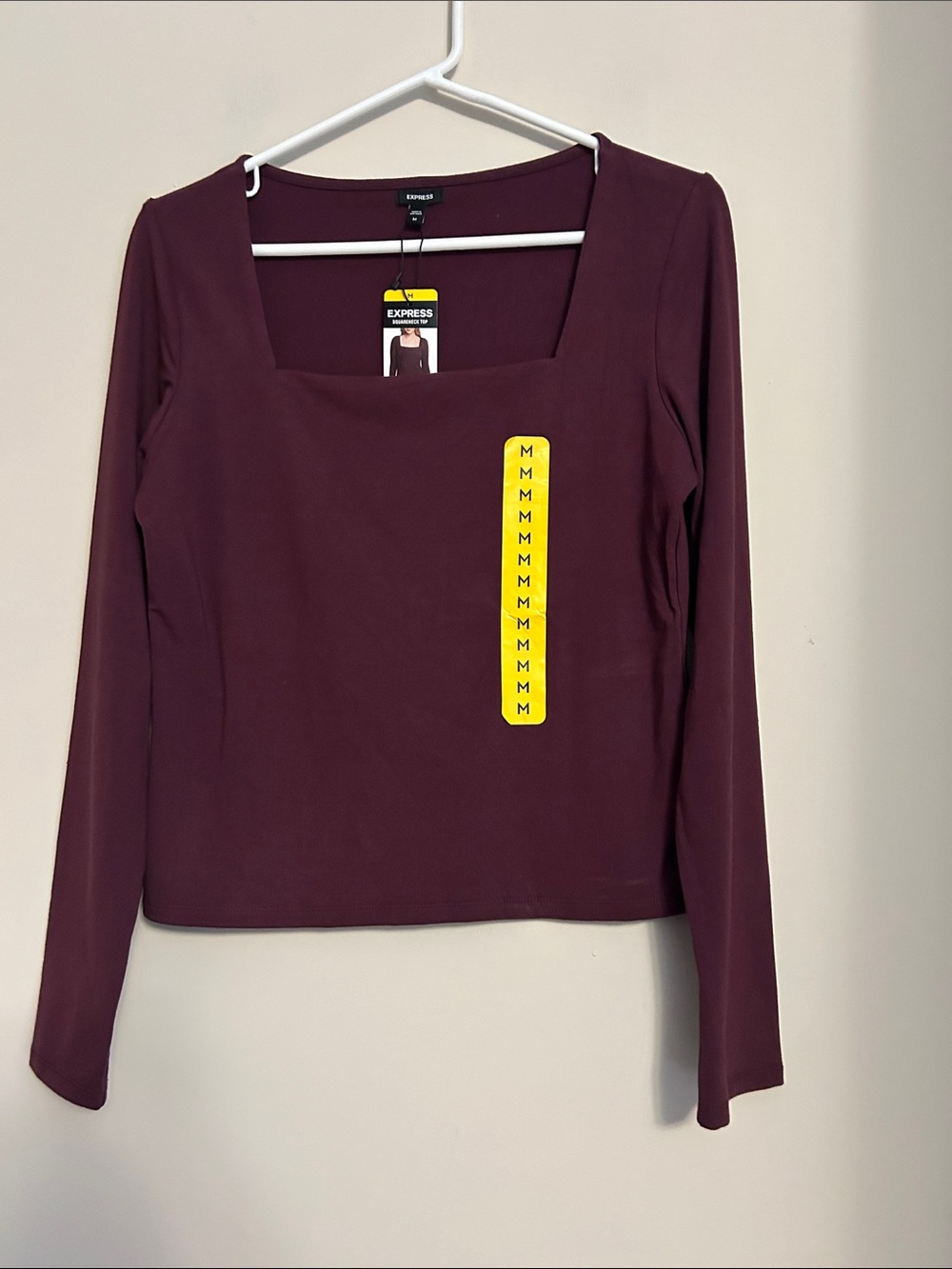 Express Long Sleeve Square Neck Top in Plum NWT. Size M